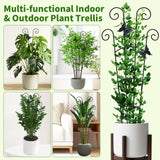 2 Pack 30 Inch Taller Plant Trellis for Potted Climbing Plants Indoor,Expandable Metal Garden Trellis for Climbing Plants,Flowers Vine Ivy, Sturdy Houseplant Support for Potted Plants with Ties
