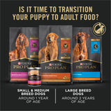 Purina Pro Plan High Protein Dry Puppy Food, Chicken and Rice Formula - 18 lb. Bag