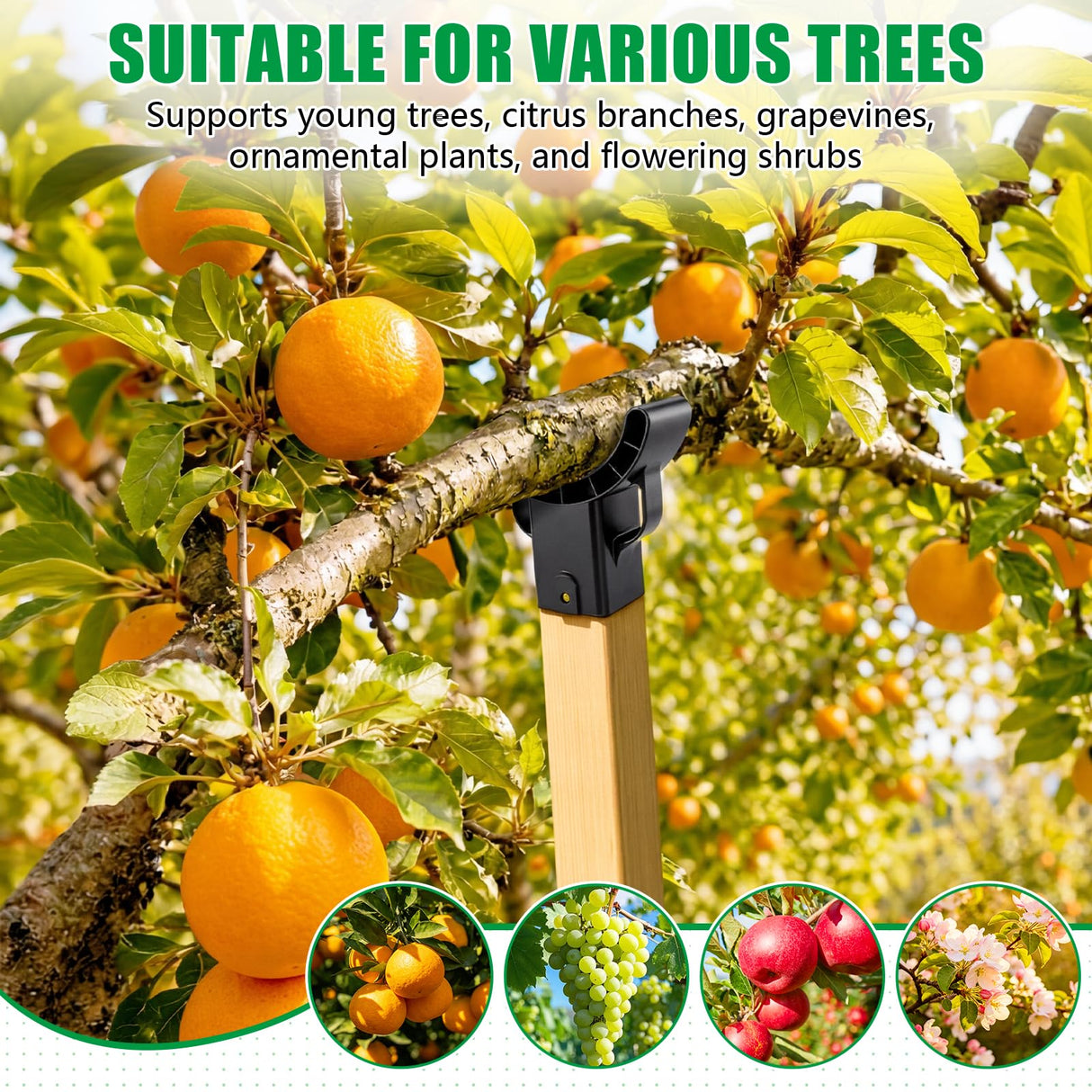 KJX 4 Pack Upgraded Tree Crutches, Fruit Tree Branch Supports