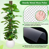 MUDEREK 6 Pack D Shape Sphagnum Moss Pole-24+40"+60"
