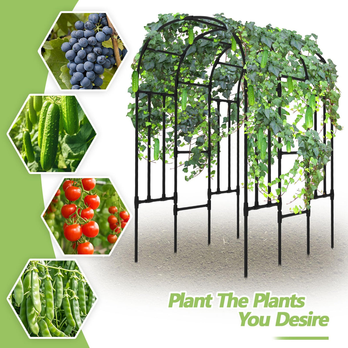 Trellis for Climbing Plants Outdoor - Cucumber Trellis for Raised Bed, Size:71 * 47 * 79 inch, Garden Trellis for Climbing Plants, Cucumber, Vegetable, Tomato, Flowers
