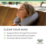 Lions Mane Supplement Mushroom Capsules (Two Month Supply - 120 Count) Lions Mane Mushroom for Brain Support and Immune Health (Third Party Tested, Grown and Encapsulated in The USA) by Double Wood