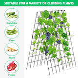 DoCred 59" H Cucumber Trellis, 2 Pack Foldable A Frame Garden Trellis