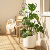 Thealyn 4 Pack 23 Inch Plant Trellis for Potted Plants