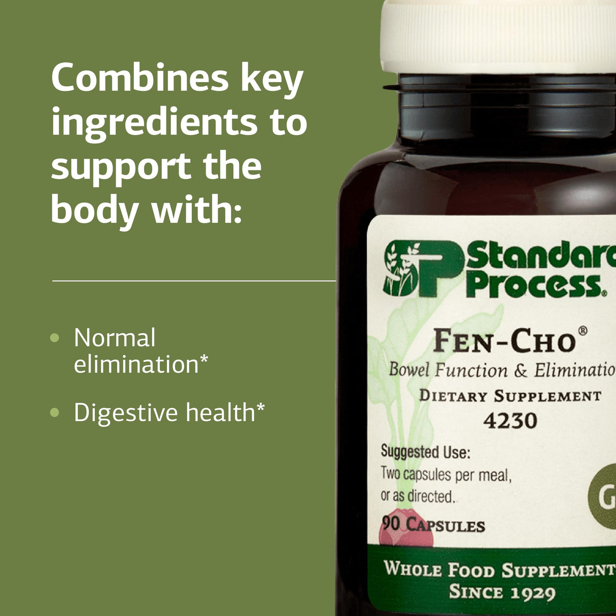 Standard Process Inc. Fen-Cho - Whole Food Bowel and Digestive Health with Collinsonia Root, Fenugreek Seed, Bile Salts, and Okra Fruit - 90 Capsules