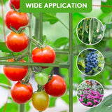 SOUNDVALUE 3 Pack Tomato Cage with 10 Gallon Grow Bag for Garden Balcony