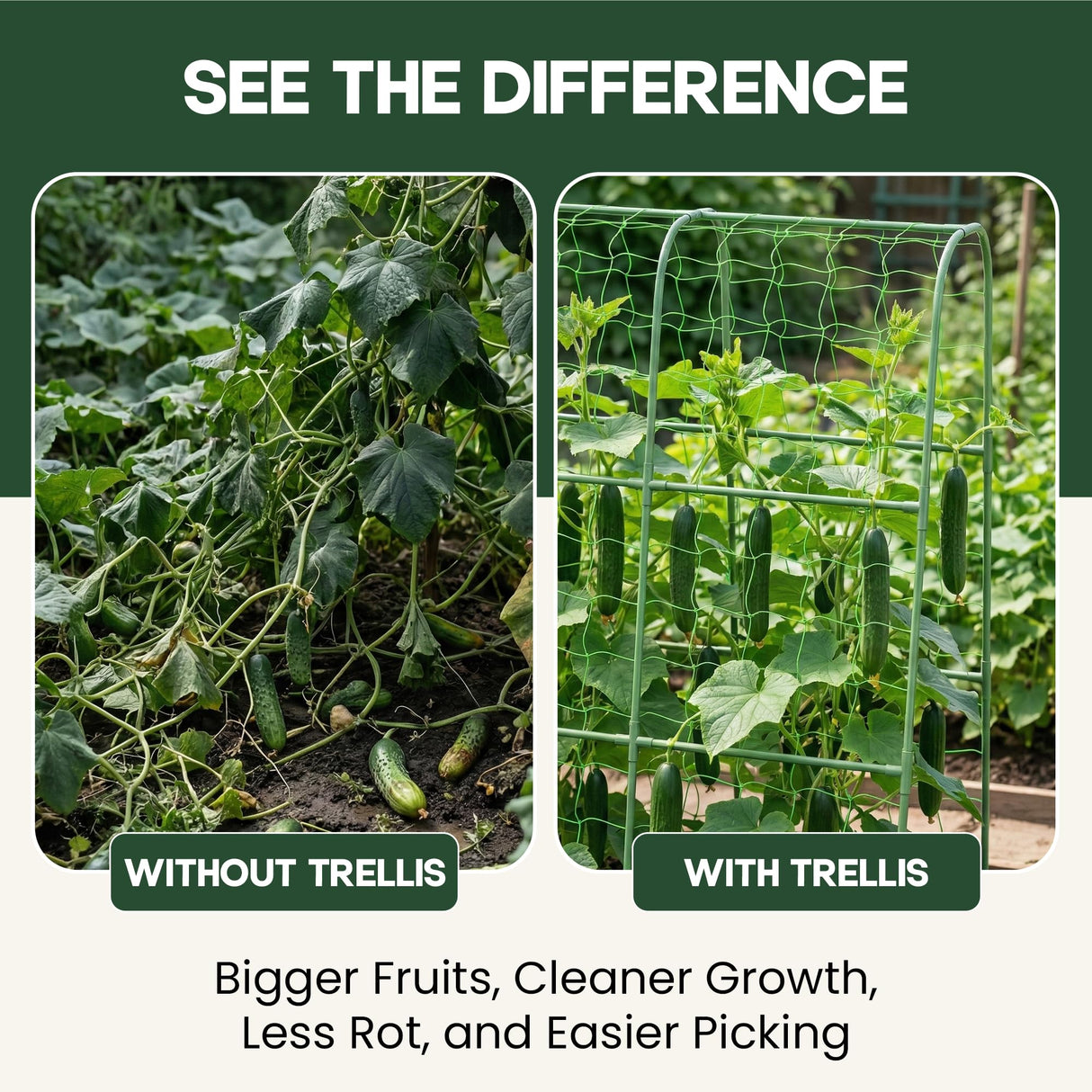 48x48 Cucumber Trellis for Raised Bed - U Shape Vegetable Garden Trellis for Climbing Plants Outdoor - Support for Cucumbers, Pea, Zucchini, Squash,Tomato, Green Bean, Vine, Watermelon, Melon, Pumpkin