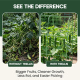 48x48 Cucumber Trellis for Raised Bed - U Shape Vegetable Garden Trellis for Climbing Plants Outdoor - Support for Cucumbers, Pea, Zucchini, Squash,Tomato, Green Bean, Vine, Watermelon, Melon, Pumpkin