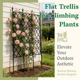 Garden Trellis Frame for Climbing Plants Outdoor | 65 Inch PE-Coated Metal Pipes & Plastic Grids Rose Wall Trellis | Rustproof Privacy Screen Plant Support Frame for Flowers Vines Vegetables Indoor