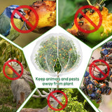 2PCS Large 7.8 x 7.8ft Fruit Tree Netting Cover with Zipper and Drawstring,Garden Insect Netting Plant Cover Transparent Bird Plant Barrier Flower Fruit Mesh Screen for Preventing Deer Squirrel Bugs