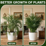 Thealyn 10 Pack Plant Support Stakes, 10" x 16" Peony Cages and Supports