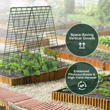 Amoskey Cucumber Trellis, Garden Trellis for Climbing Plants Outdoor, Foldable A-Frame Trellis, Cucumber Trellis for Raised Bed for Cucumbers, Peas, or Tomatoes (Green, Small Grid 48‘’H*34''W)