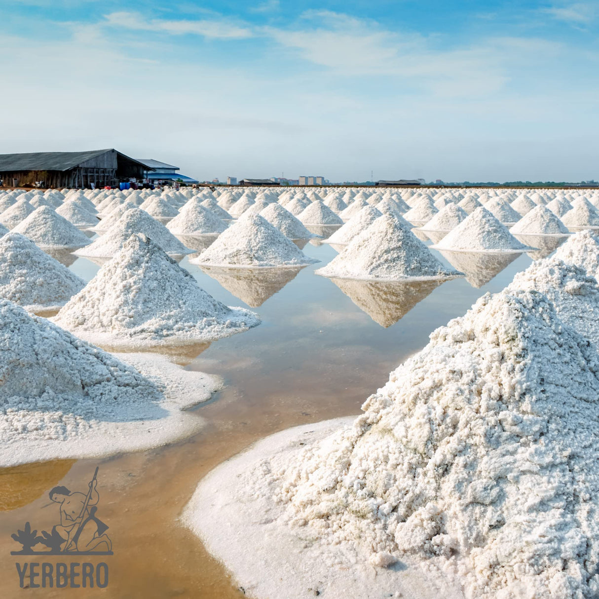 Yerbero - Premium Colima Sea Salt Unrefined 1 lb (456 g) | 100% All Natural Sea Salt, Gourmet Grade, Non GMO's. | Hand Harvested | Imported From Lagoon Cuyutlán “Tepalcates” Colima, Mexico.