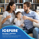 ICEPURE DA29-00020B Replacement for Samsung Water Filter HAF-CIN/EXP HAF-CIN DA29-00020B-1 RF28HMEDBSR RF263BEAESR RS25J500DSR RF263TEAESG RWF0700A HDX FMS-2 DA97-08006A-1 RF4287HARS RF28HFEDBSR 3PACK