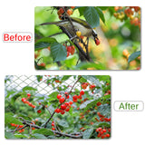 Anti Bird Netting for Garden Woven Mesh - Heavy Duty Protect Plants and Fruit Trees from Rodents Birds Deer Poultry Reusable and Doesn't Tangle (19.5 ft x 40 ft)