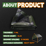 RAINDEWAY Tarps 30x50 Feet,Large Tarp Waterproof,9Mil Thick Finished Size, Multipurpose Poly Tarp Cover with Metal Grommets and Reinforced Edges,Green/Black Tarpaulin