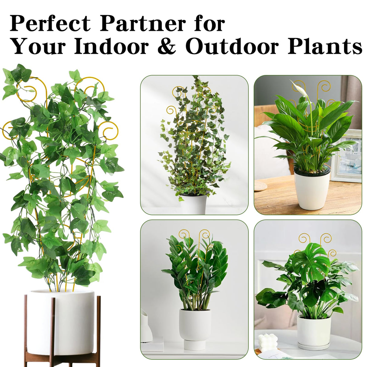 ZOUTOG Trellis for Climbing Plants Indoor 4 Pack 30 Inch,Rustproof Metal Garden Trellis for Potted Plants,Sturdy Houseplant Support Indoor Outdoor for Ivy Pothos Monstera Hoya Flower Vine(Golden Moon)