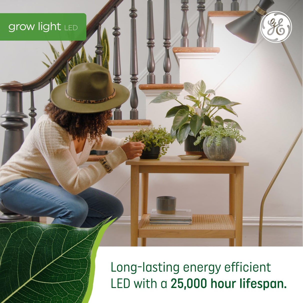 GE Grow LED Light Bulb for Plants Seeds and Greens, Balanced Light Spectrum, A19 (2 Pack)