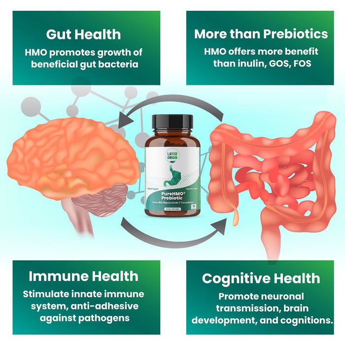 Layer Origin | PureHMO Human Milk Oligosaccharide (HMO 2'-FL) Prebiotic - Feed 180 Billion Probiotics/Serving, 30-Day Supply