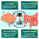 Layer Origin | PureHMO Human Milk Oligosaccharide (HMO 2'-FL) Prebiotic - Feed 180 Billion Probiotics/Serving, 30-Day Supply