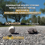 10 Pound Titanium Gray DOMINATOR Polymeric Sand with Revolutionary Ceramic Flex Technology for Stabilizing Paver Joints/Gaps, 1/8” up to 4”, Professional Grade Results