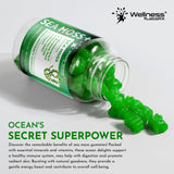 WELLNESS LABSRX Sea Moss Gummies, 3200mg Irish Sea Moss Mixed Berry Flavor with Maximum Potency Bladderwrack and Burdock Root - Supports Skin, Energy and Immunity - 90 Count