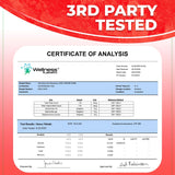 WELLNESS LABSRX Irish Sea Moss Gel Raw - Wildcrafted Superfood Seamoss Gel - Strawberry Flavor, Vitamin and Mineral-Rich from Pristine Caribbean Waters, Immune and Digestive Health Support - 10 oz.