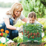 Nlicrst 5 Sets Strawberry Plant Support with Wire Plant Protectors, 12.9"x 11.8" Wire Plant Cages and Strawberry Growing Racks, Animal Protection for Strawberry Tomato Garden Vegetables Plants
