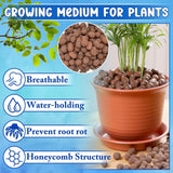 ZeeDix 5LB Leca Clay Pebbles for Plants. Organic Hydroponic Clay Balls