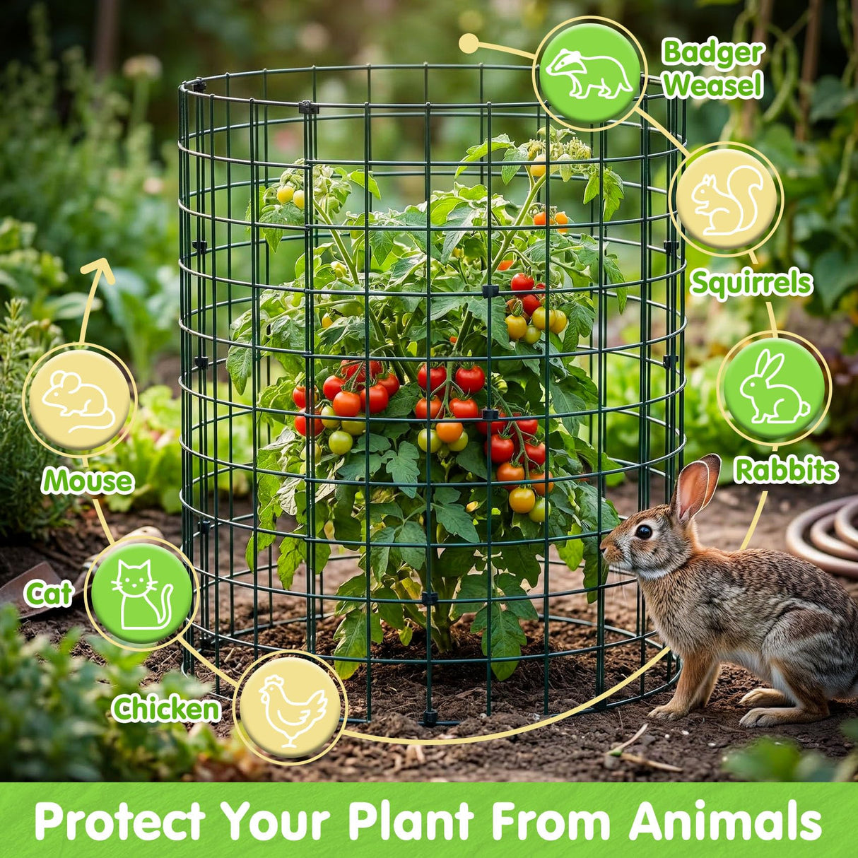 10 Pack Round Plant Protector from Animals – 30pcs 12" × 12" Metal Wire Mesh Garden Plant Cages Wire Plant Covers Pre-Bent Metal Mesh for Seedling Raised Bed Garden Protection for Vegetables Flower