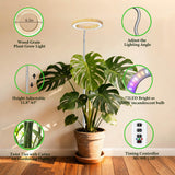 Grow Lights for Indoor Plants Full Spectrum,6.3" LED Wood Grain Plant Grow Light, 9.8-65in Height Adjustable Plant Lights Growing Lamp with Auto Timer 3H/9H/12H,10 Dimmable Levels (Wood Grain 1 Pack)