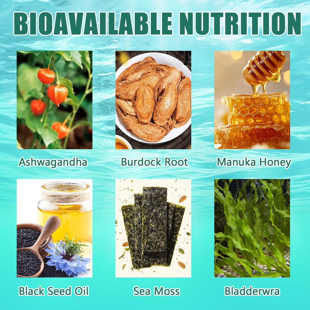 Sea Moss Gummies 16-in-1 | Irish Seamoss Gummies for Women Men with Black Seed Oil & Ashwagandha & Burdock & Bladderwrack | Boosts Immune Support, Skin Health and Digestion | 30 Gummies