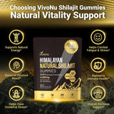 Formula with Pure Himalayan Shilajit, Ashwagandha, and 75% Fulvic Acid | Sugar-Free Vegan, 85+ Trace Minerals