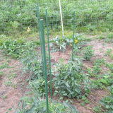 Garden Plant Stakes, 36 Inch 3Ft Steel Tomato Stakes, 25 Pack