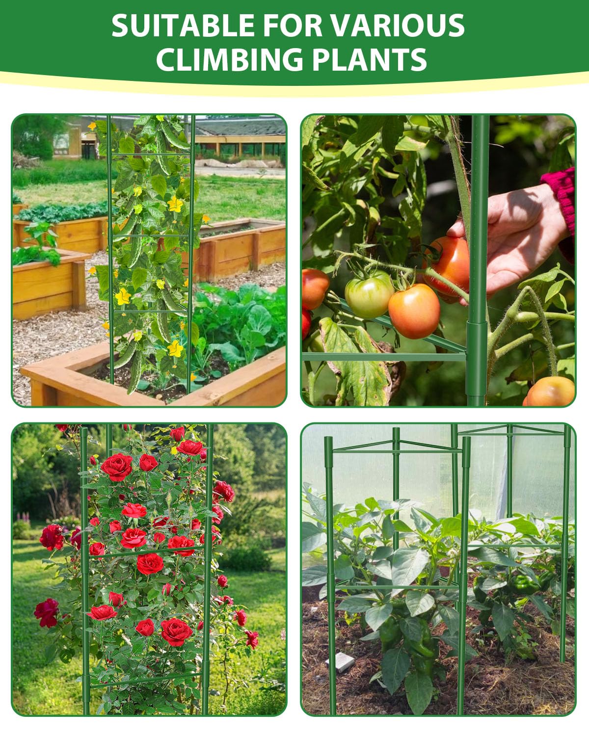 MYMULIKE 6 Pack Tomato Cages for Garden, 51in*13in Adjustable Tomatoes Plant Stakes Support Cages Trellis, Garden Trellis for Vegetable Flowers Fruits Climbing Plants- 20 Binding Wires Included