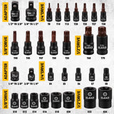 31-Piece Torx Bit Socket Set: 14 Star Bits T8-T70 & 13 E-Torx Sockets E4-E24, Premium CR-V & S2 Alloy Steel, High Torque Laser Marked for Automotive Mechanic