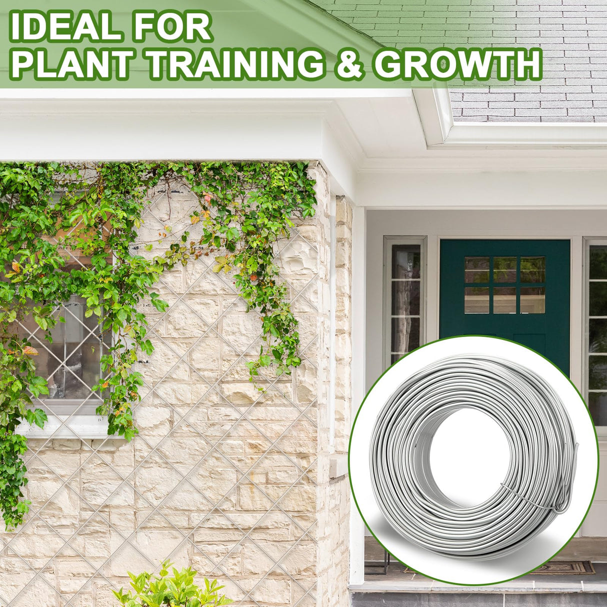 Blulu 200 ft Wire Trellis Kit 16 Gauge Galvanized Coated Steel Garden Wire Trellis with 20 Vine Eye Screws for Outdoor Wall Fence Grape Climbing Plants