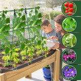 A-Frame Cucumber Trellis for Raised Bed - 47 x 47in, Heavy-Duty Detachable Garden Trellis with Netting & Clips, Support for Climbing Outdoor Cucumber, Tomatoes, Luffa, Bitter Melon, Vining Flowers