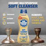 Bar Keepers Friend Soft Cleanser Liquid (2 x 26 oz) Plus Dish Fish Sponge - Multipurpose Cleaner & Rust Stain Remover for Stainless Steel, Porcelain, Ceramic Tile, Copper, Brass & More