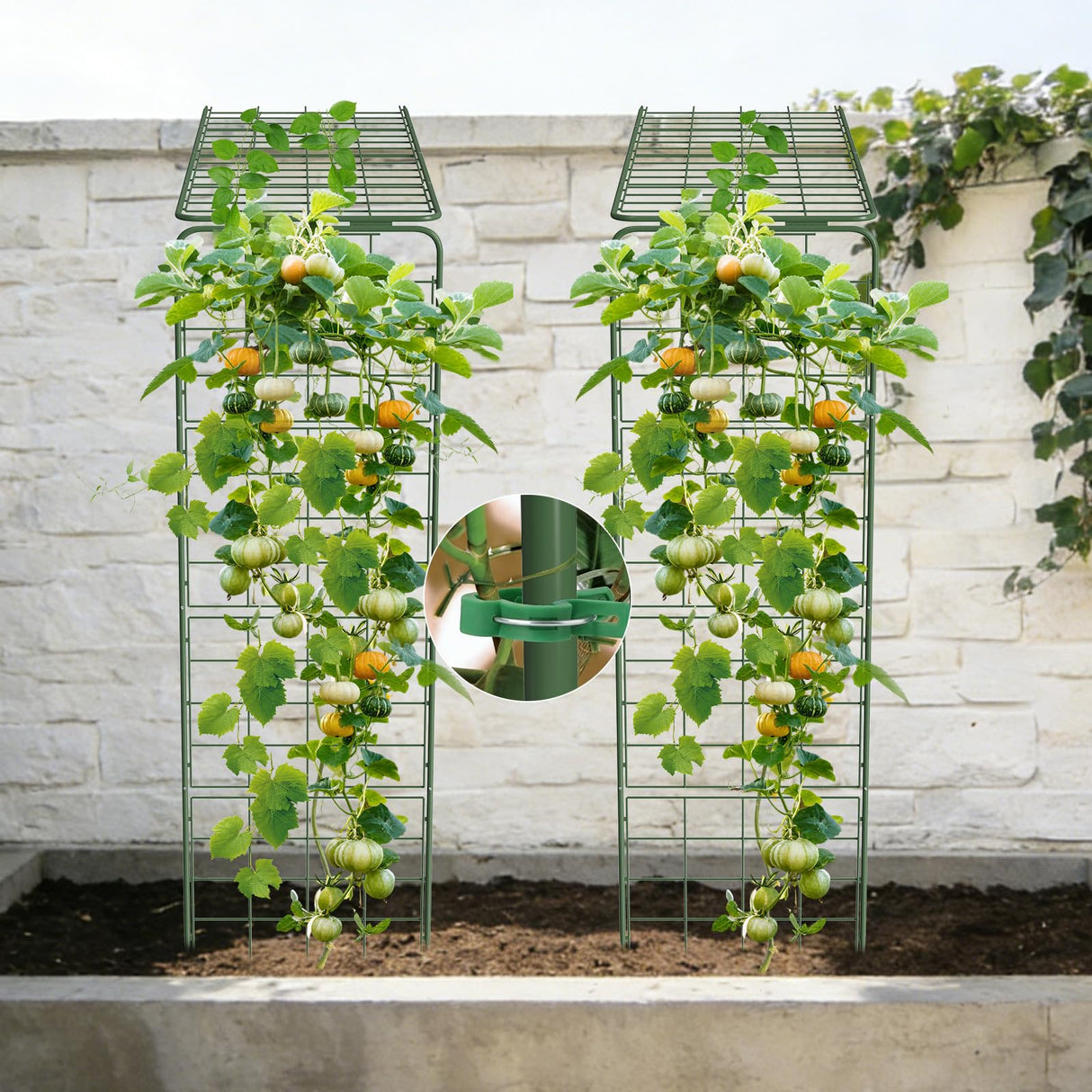 Heavy Duty A-Frame Metal Garden Trellis for Climbing Plants, 50"x17" Inch Tall Plant Support with Clips & Garden Ties for Cucumbers, Squash, Beans & Vines (2)