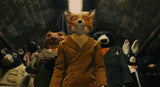 Fantastic Mr. Fox (The Criterion Collection) [Blu-ray]