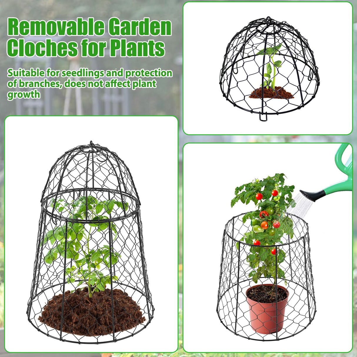 6 Pack Garden Cloches for Plants, Sturdy Chicken Wire Cloches Plant Cover