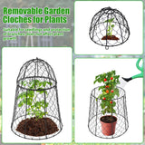 6 Pack Garden Cloches for Plants, Sturdy Chicken Wire Cloches Plant Cover