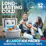 RIDGECOOL 4 Pack Reusable Large Ice Packs for Cooler, Long Lasting Freezer Packs for Camping, Beach, and Road Trips, Cooler Ice Packs BPA-Free Non-Toxic, 8"x 6.7"