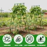Heavy Duty Cucumber Trellis,2 Pack,No AssemblyGarden Trellis for Climbing Plants Outdoor,Cucumber Trellis, A-Frame Vegetable Frame,Vegetables Peas Beans Squash Cucumber