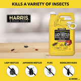 Harris Asian Lady Beetle, Japanese Beetle, and Box Elder Killer, Liquid Spray with Odorless and Non-Staining Extended Residual Kill Formula (Gallon)