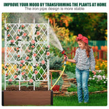 WellSign 63 Inch Metal Pipe Garden Trellis for Climbing Plants Outdoor