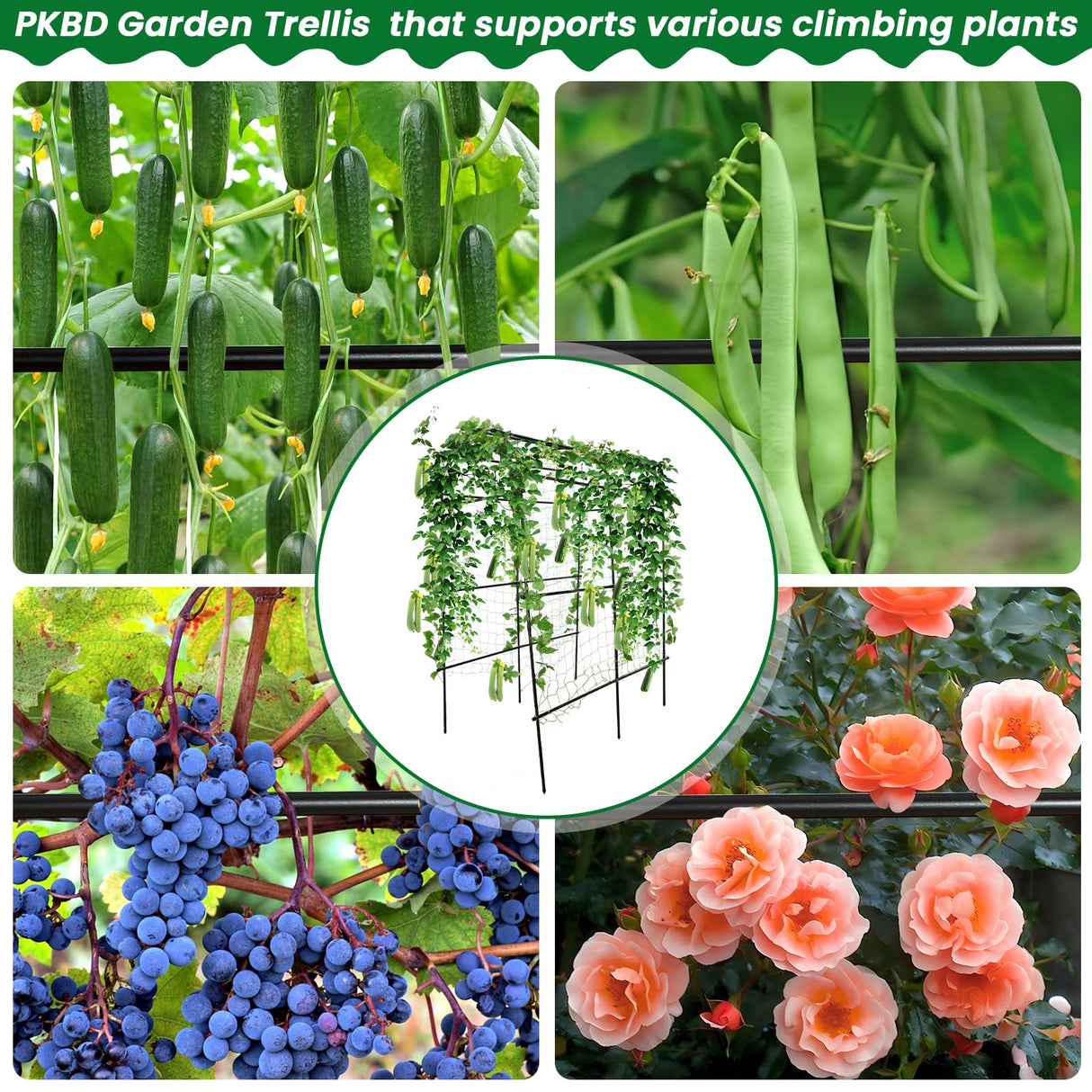 PKBD Tall Garden Arch Trellis for Climbing Plants Outdoor