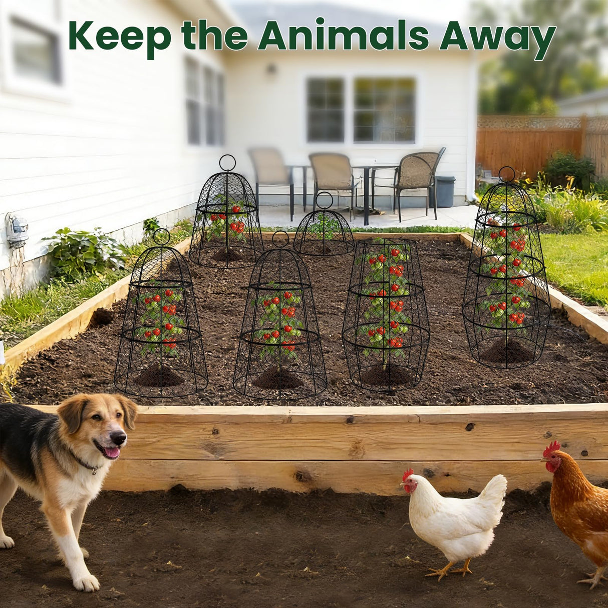 6 Pack Garden Cloche Plant Protectors from Animals, Adjustable 3-Tier Chicken Wire Plant Cages for Outdoor Plants, Stackable Metal Garden Cloches Keep Rabbits, Squirrels & Birds Away, 17.3" x 11.4"