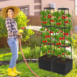 2 Packs Tomato Planter Pot with Raised Bed Trellis, 45" Tomato Cages for Climbing Vegetables, Self Watering Tomato Growing Container Planters Box for Indoor Outdoor Garden Bed Greenhouse